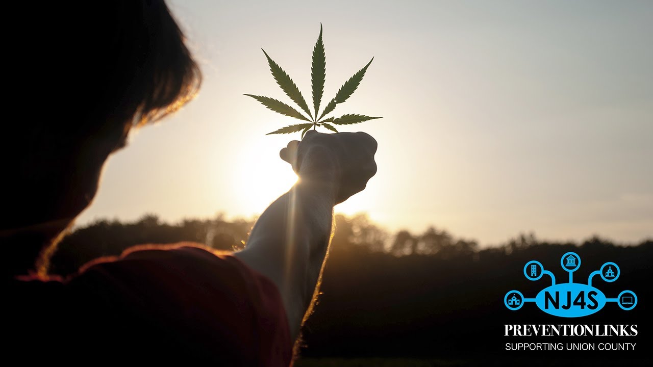 Teen holding up a cannabis leaf