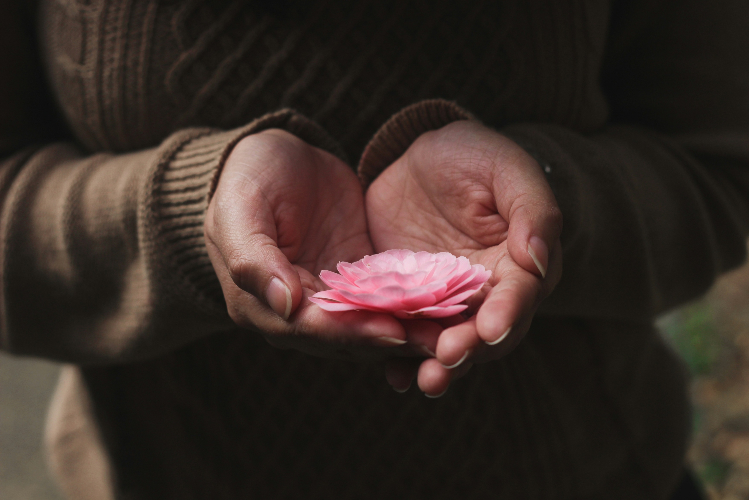 A woman holding flower in open hands