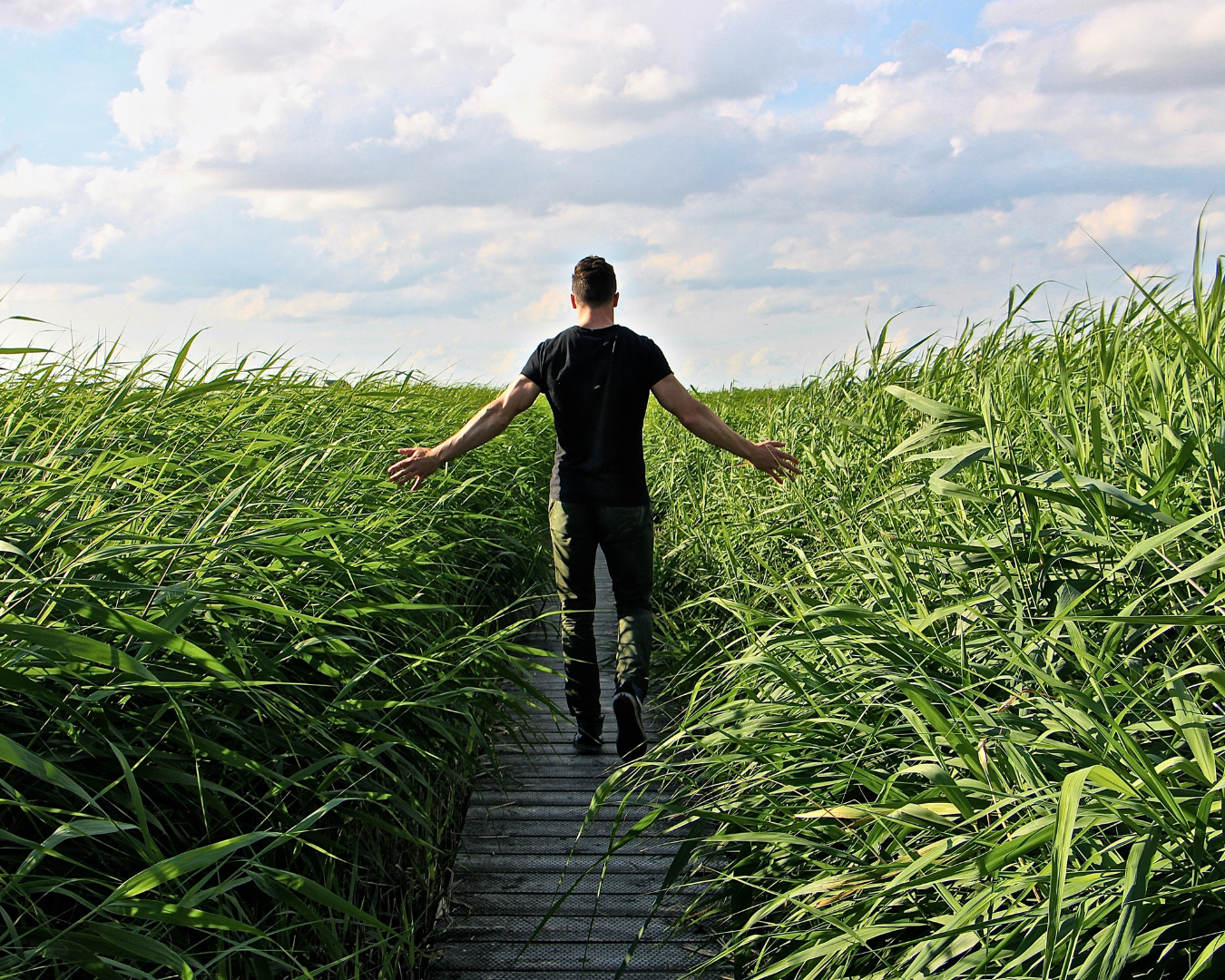 Man walking through field