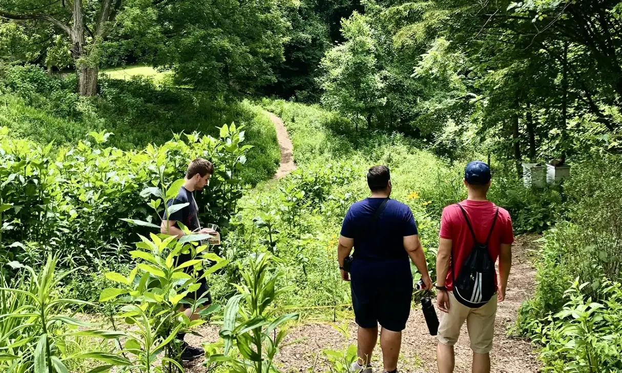 friends hiking
